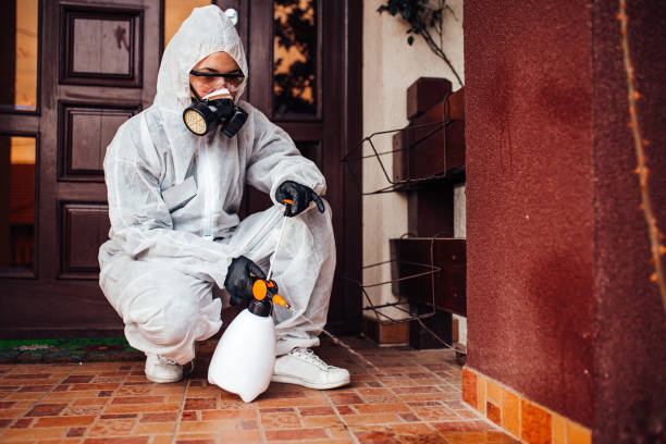 Reliable Termite Control contractor in Phoenix, AZ by Nex Pest Control